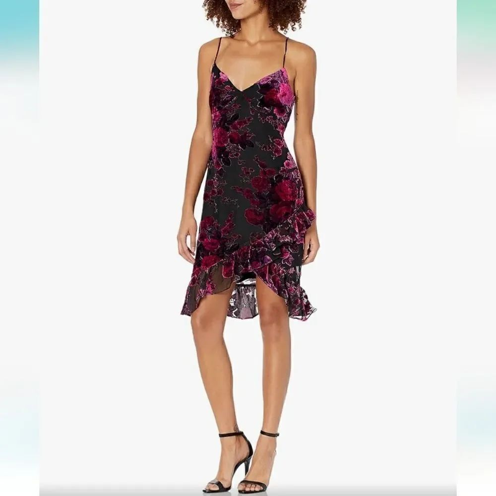 Likely Nwt Shana Velvet Floral Mini Dress